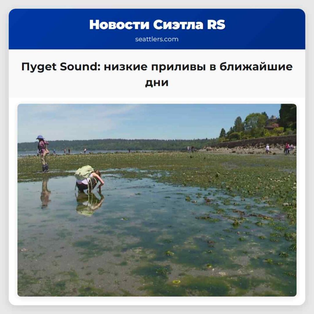 Пуget Sound: низкие приливы в ближайшие дни