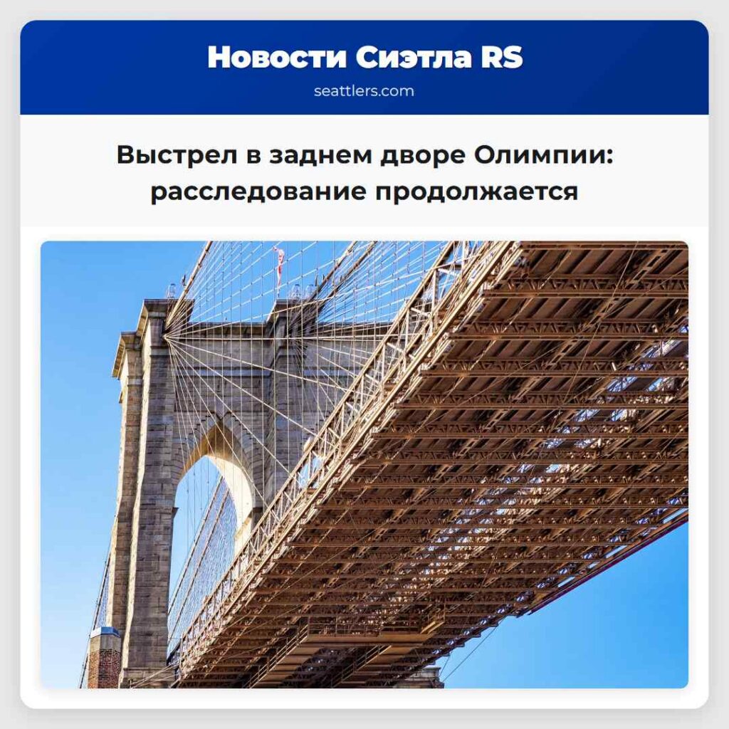 Выстрел в заднем дворе Олимпии: расследование