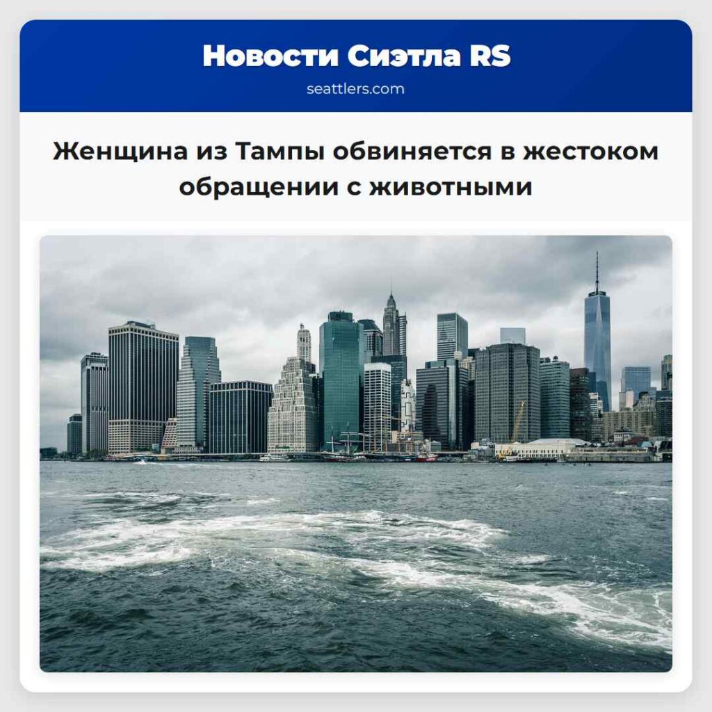Женщина из Тампы обвиняется в жестоком обращении