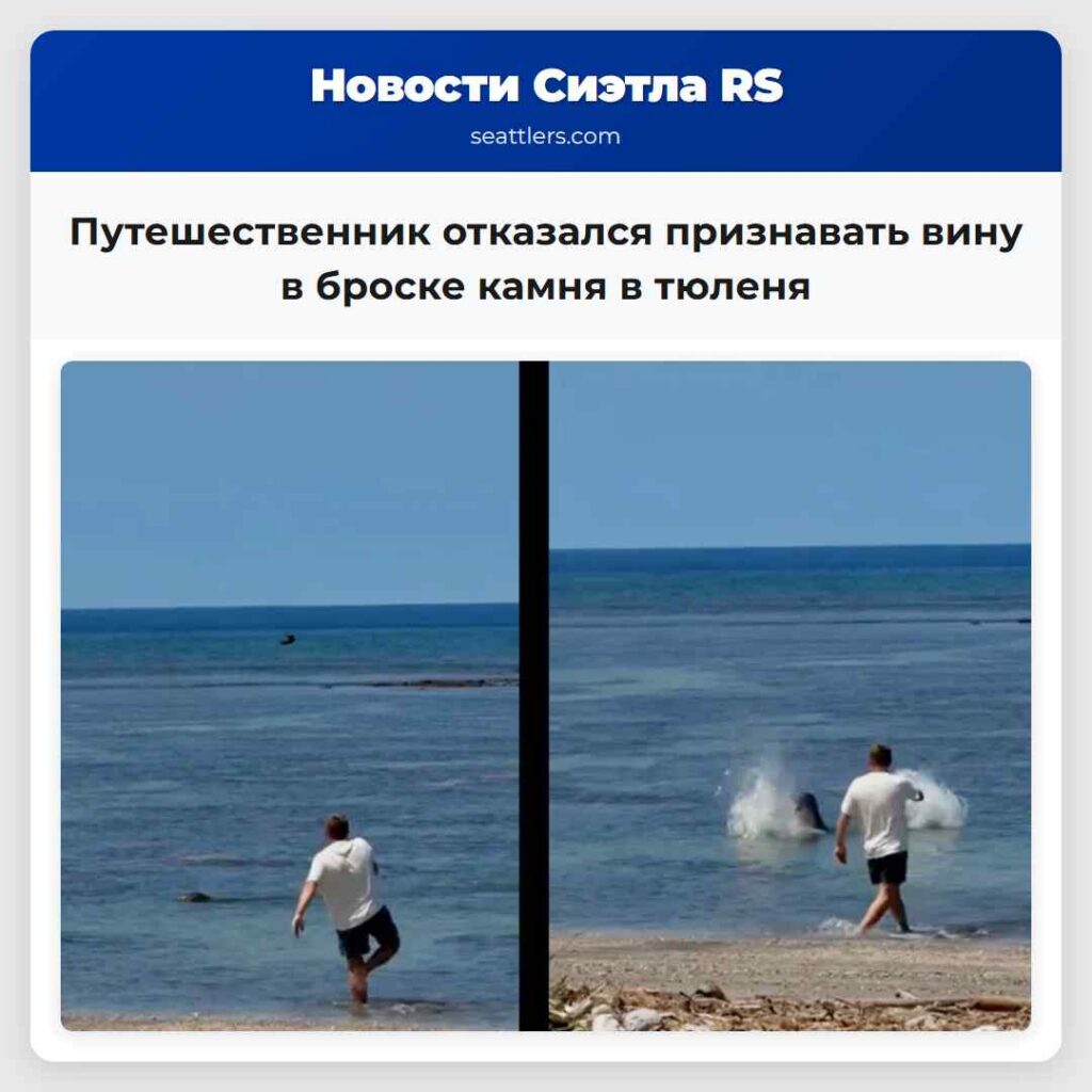 Путешественник отказался признавать вину в броске