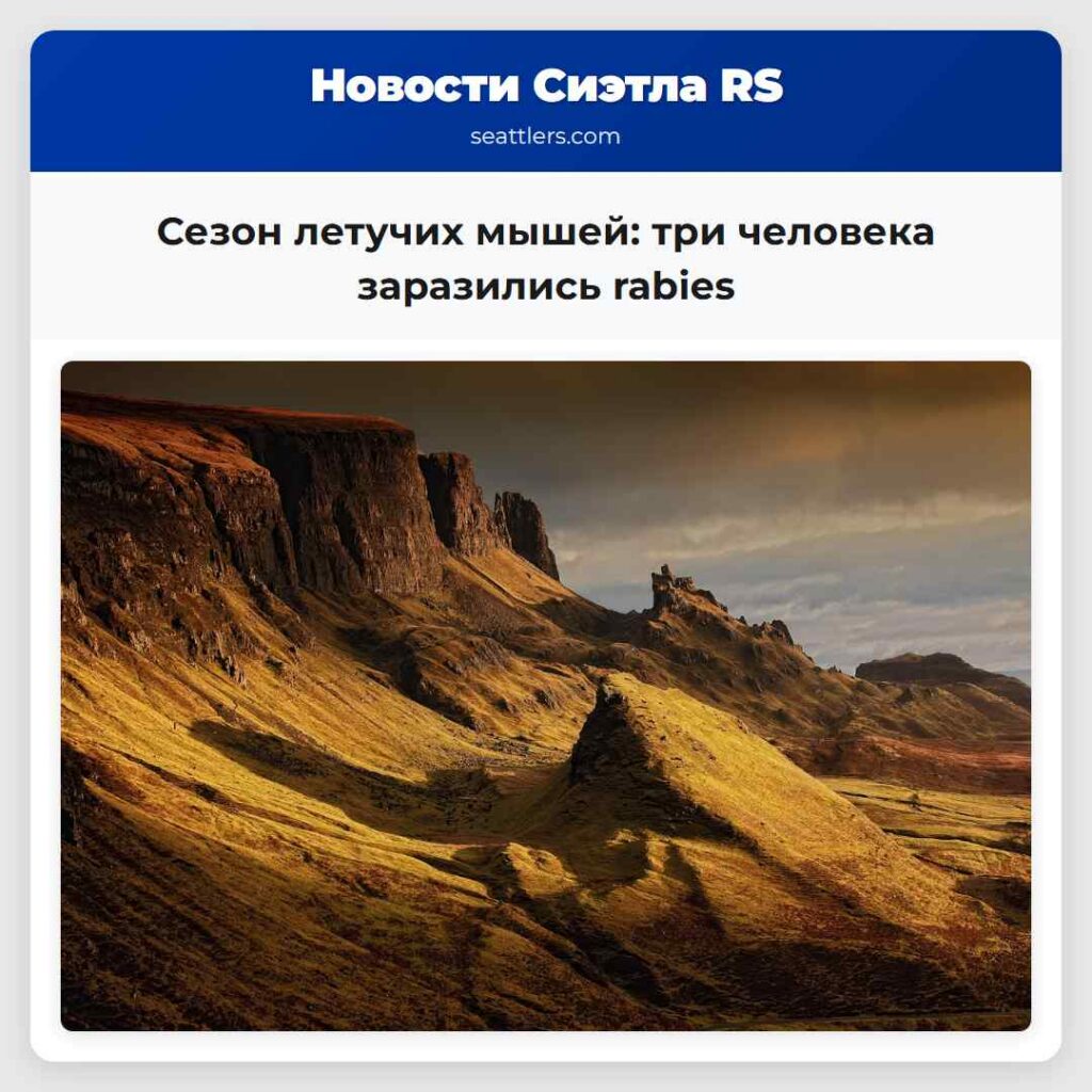 Сезон летучих мышей: три человека заразились