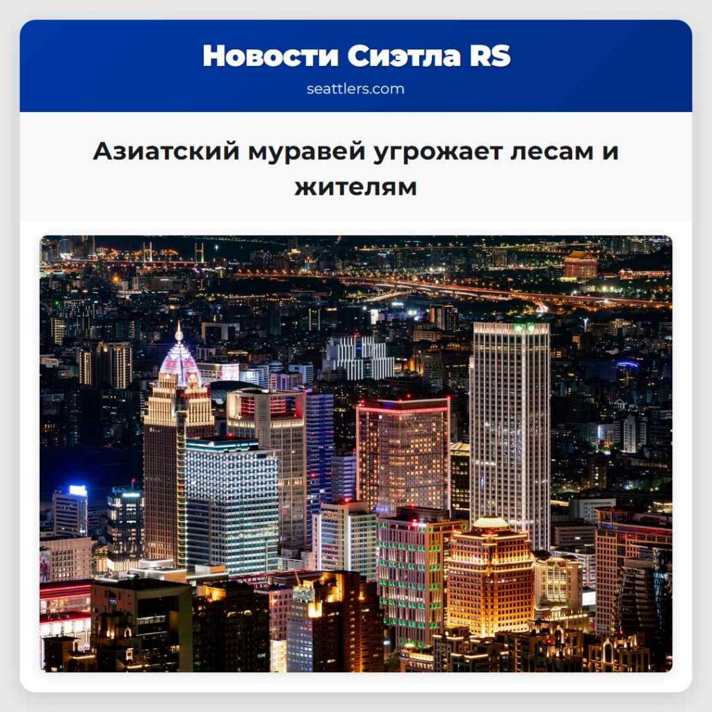 Азиатский муравей угрожает лесам и жителям