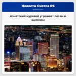 Азиатский муравей угрожает лесам и жителям