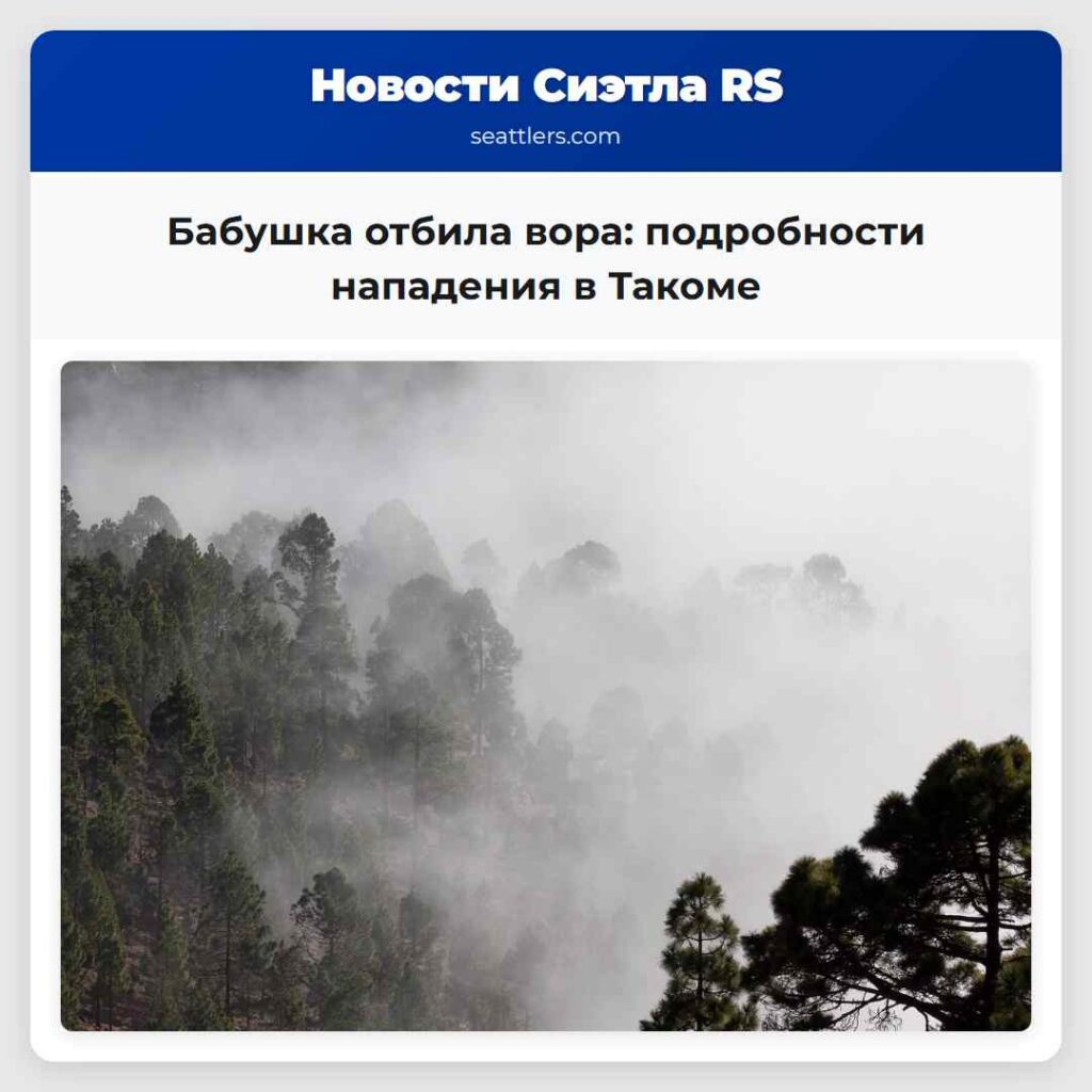 Бабушка отбила вора: подробности нападения в