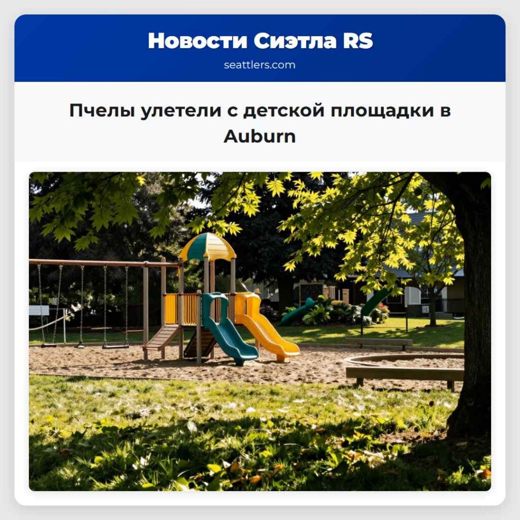Пчелы улетели с детской площадки в Auburn