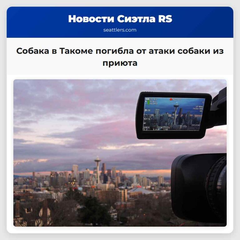 Собака в Такоме погибла от атаки собаки из приюта
