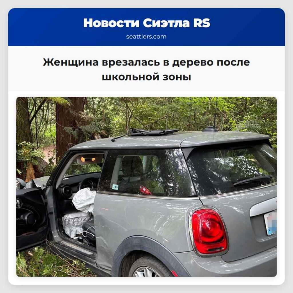 Женщина врезалась в дерево после школьной зоны