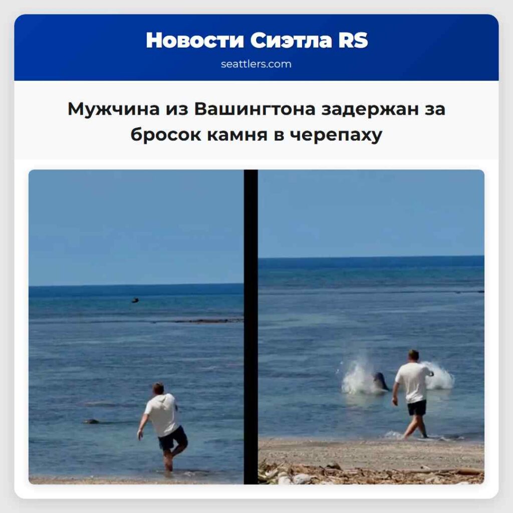 Мужчина из Вашингтона задержан за бросок камня в