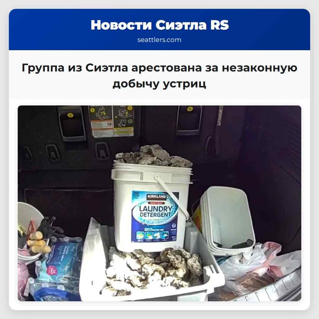Группа из Сиэтла арестована за незаконную добычу