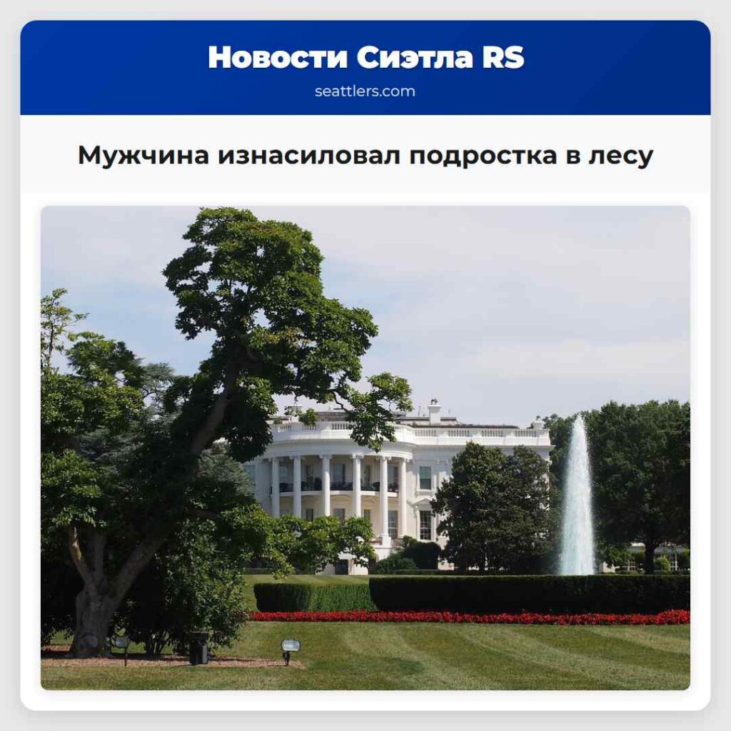 Мужчина изнасиловал подростка в лесу