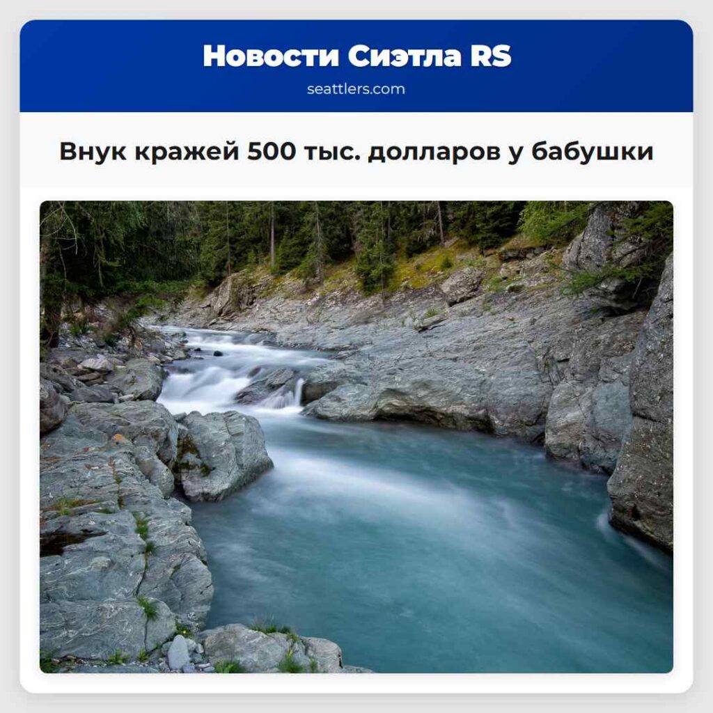 Внук кражей 500 тыс. долларов у бабушки