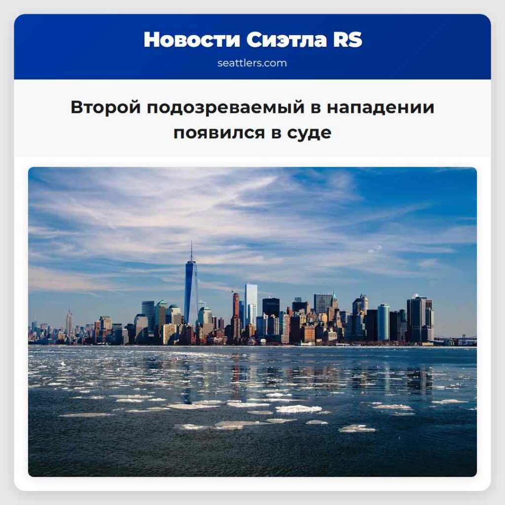 Второй подозреваемый в нападении появился в суде