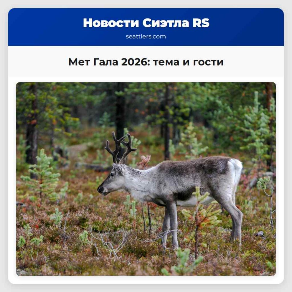Мет Гала 2026: тема и гости