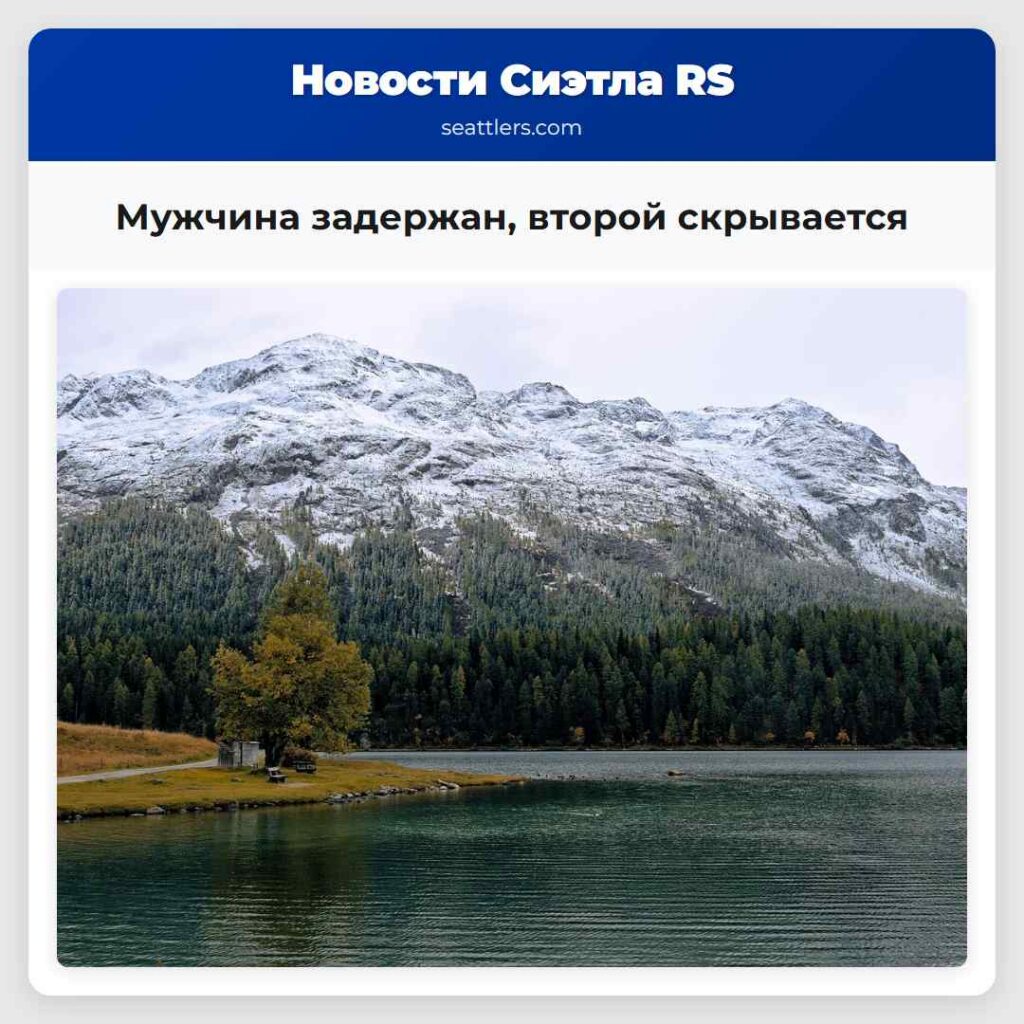 Мужчина задержан, второй скрывается