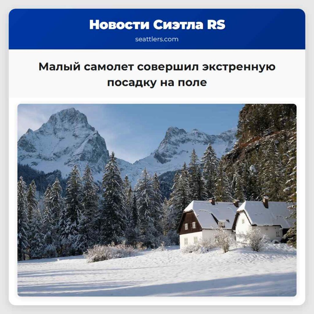 Малый самолет совершил экстренную посадку на поле