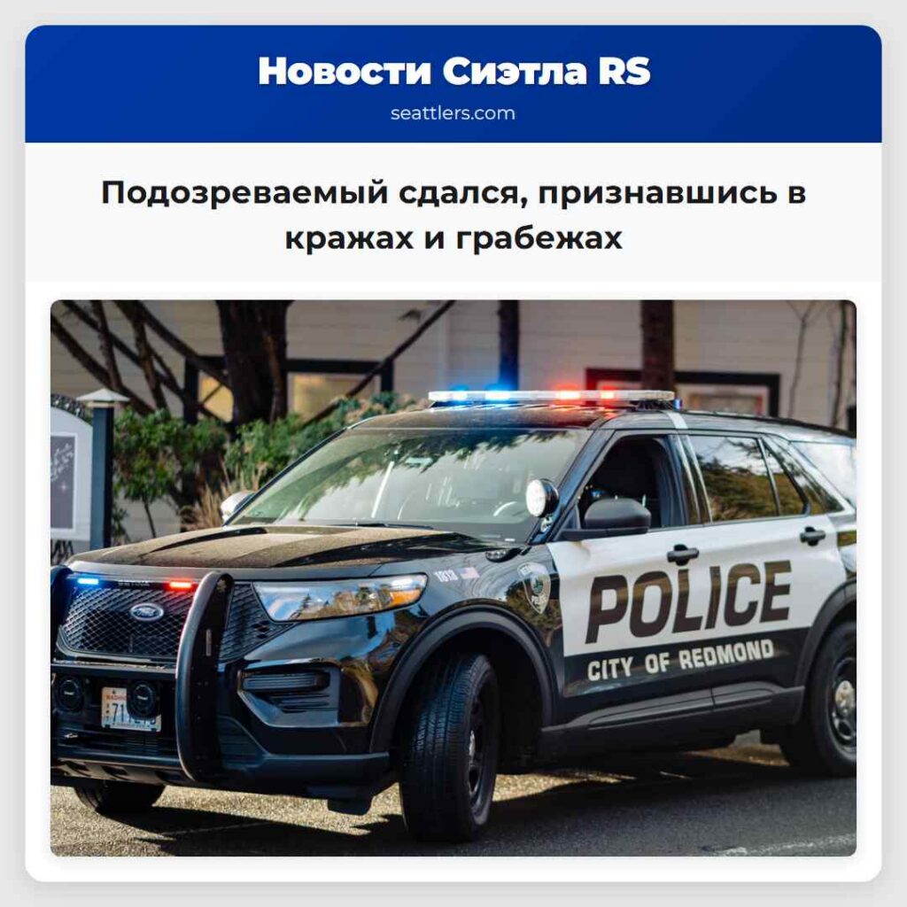 Подозреваемый сдался, признавшись в кражах и