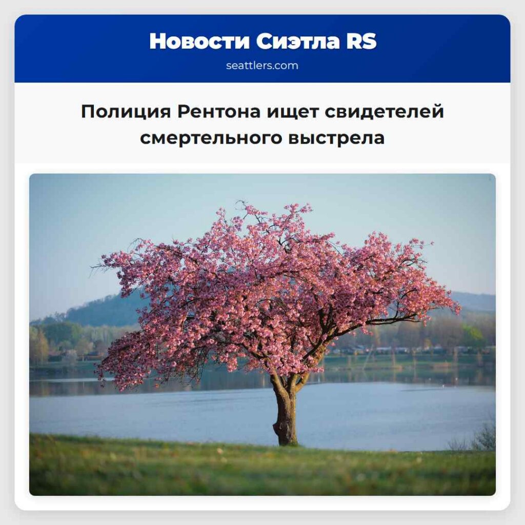 Полиция Рентона ищет свидетелей смертельного