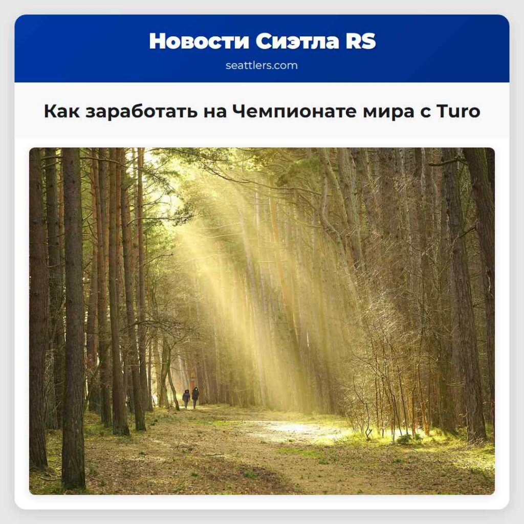 Как заработать на Чемпионате мира с Turo