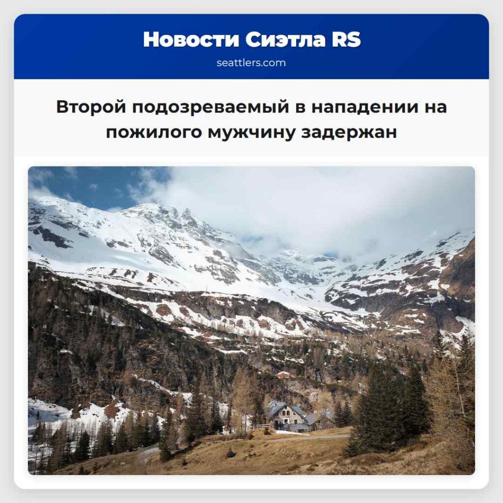 Второй подозреваемый в нападении на пожилого