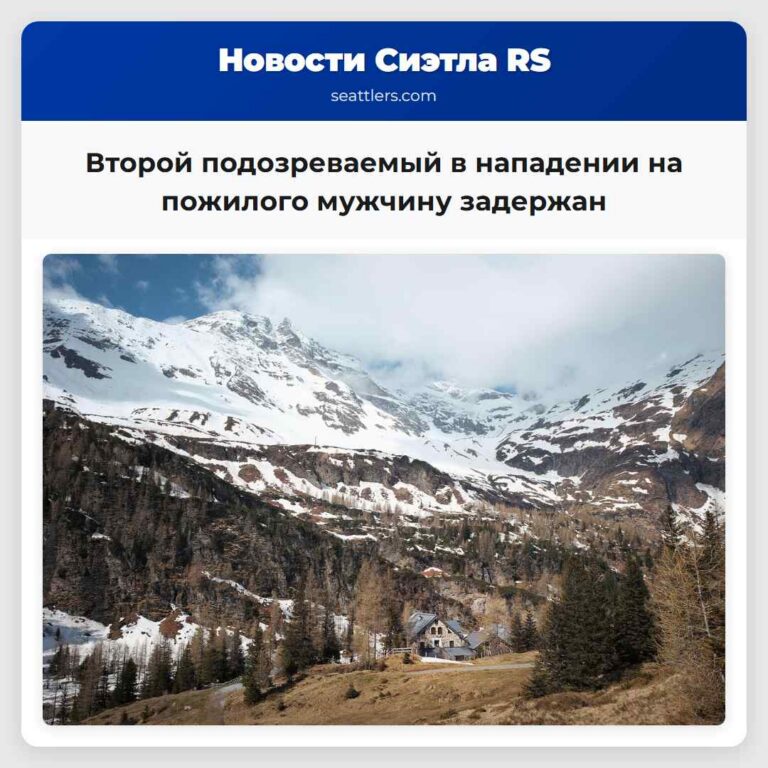 Второй подозреваемый в нападении на пожилого мужчину задержан