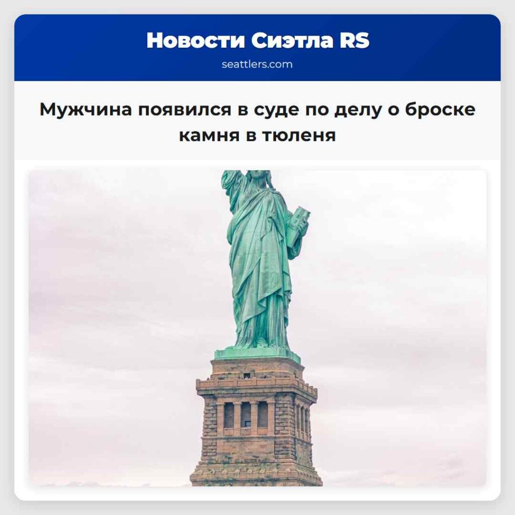 Мужчина появился в суде по делу о броске камня в