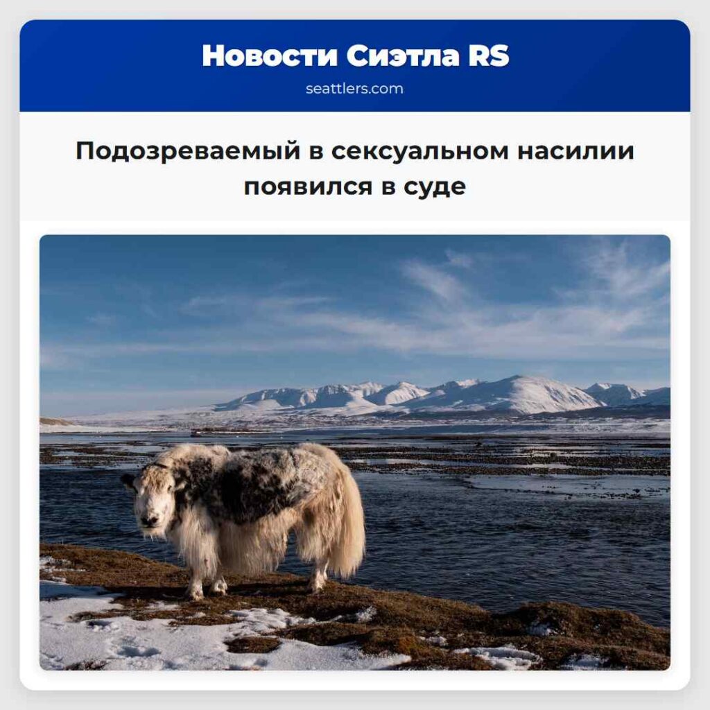 Подозреваемый в сексуальном насилии появился в