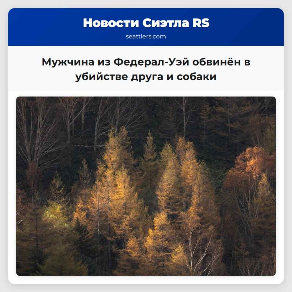 Мужчина из Федерал-Уэй обвинён в убийстве друга и