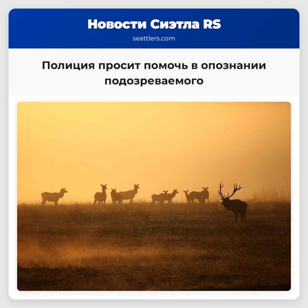Полиция просит помочь в опознании подозреваемого
