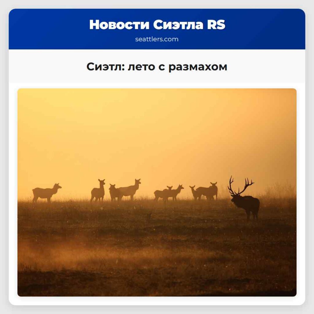 Сиэтл: лето с размахом