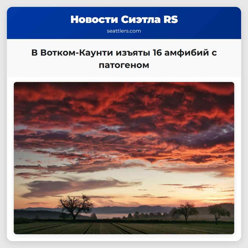 В Вотком-Каунти изъяты 16 амфибий с патогеном