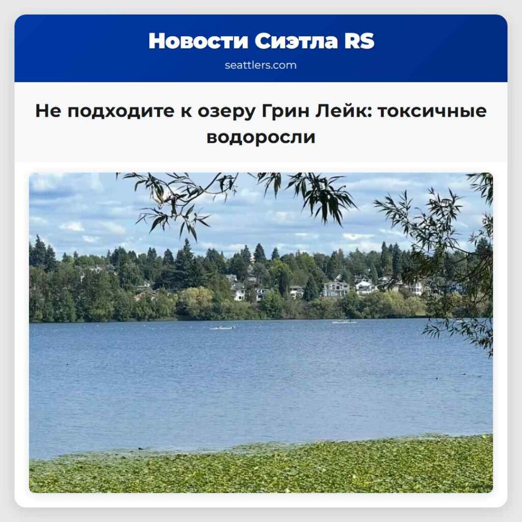 Не подходите к озеру Грин Лейк: токсичные