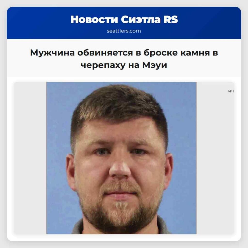 Мужчина обвиняется в броске камня в черепаху на