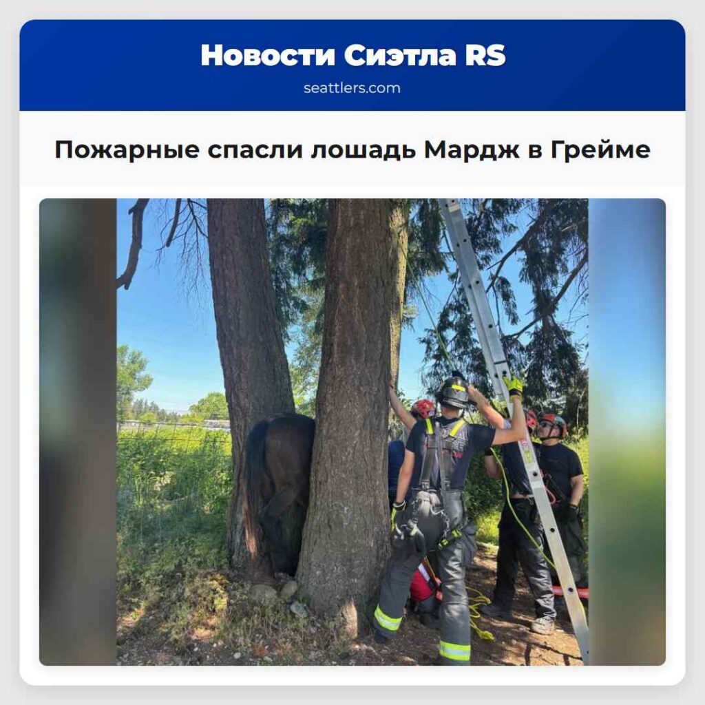 Пожарные спасли лошадь Мардж в Грейме