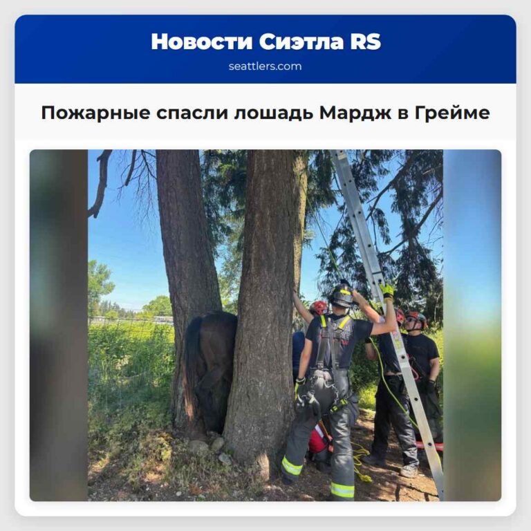 Пожарные спасли лошадь Мардж в Грейме
