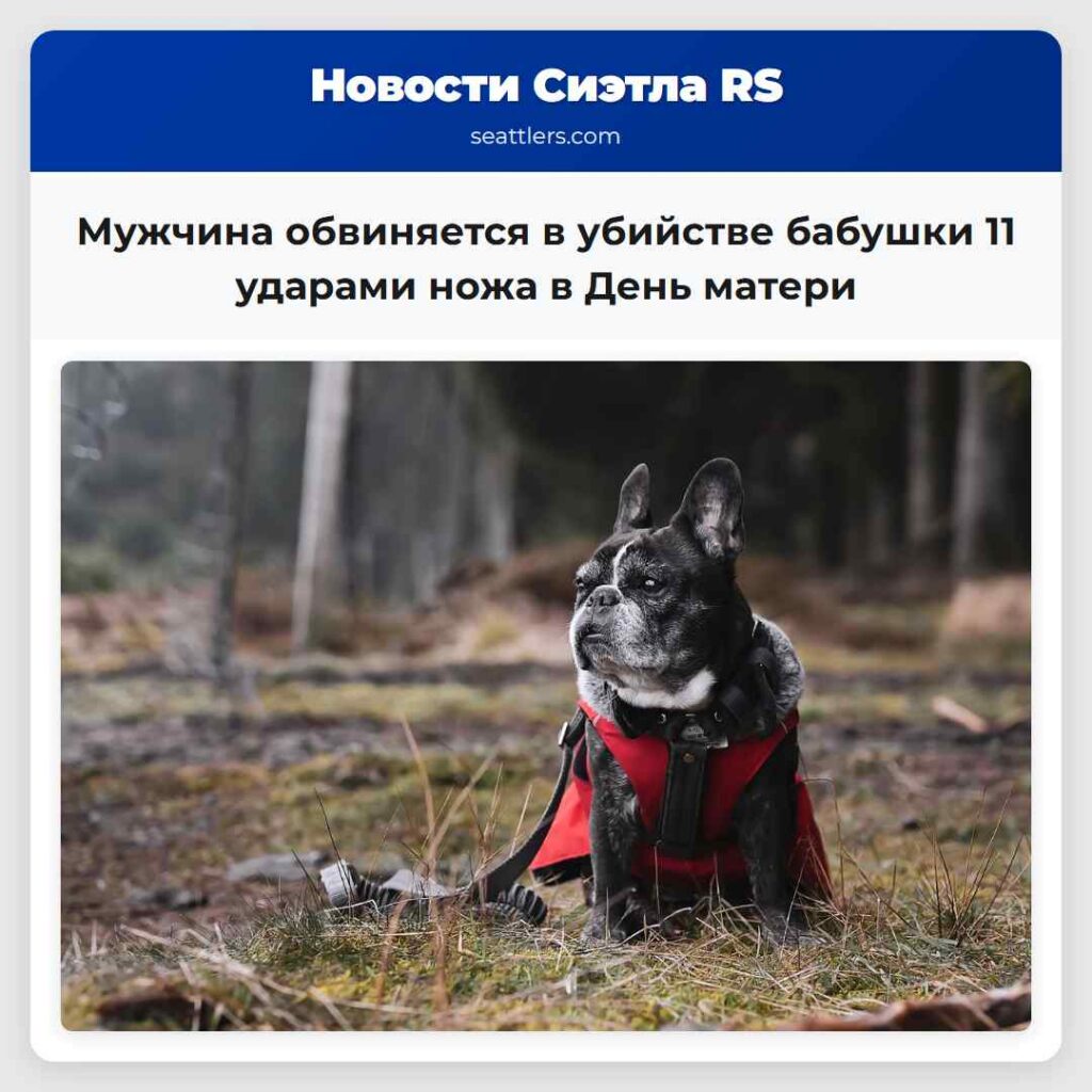 Мужчина обвиняется в убийстве бабушки 11 ударами