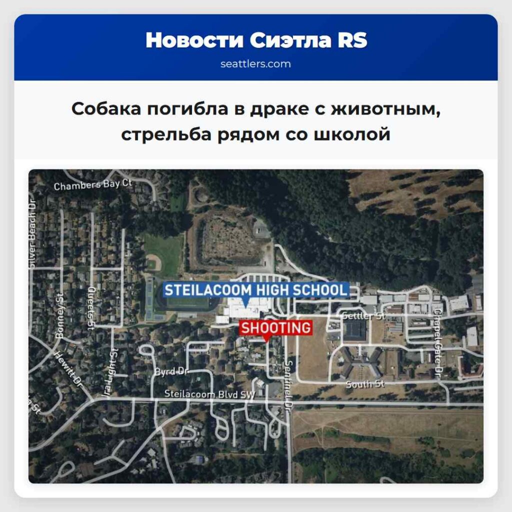 Собака погибла в драке с животным, стрельба рядом