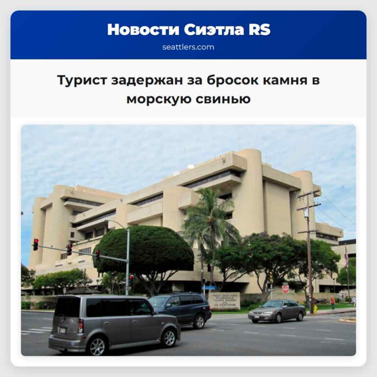 Турист задержан за бросок камня в морскую свинью