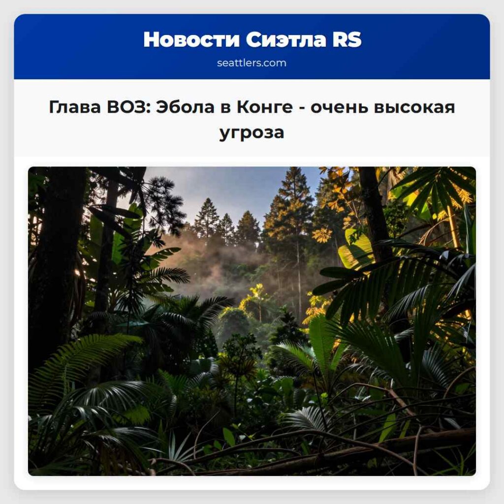 Глава ВОЗ: Эбола в Конге - очень высокая угроза