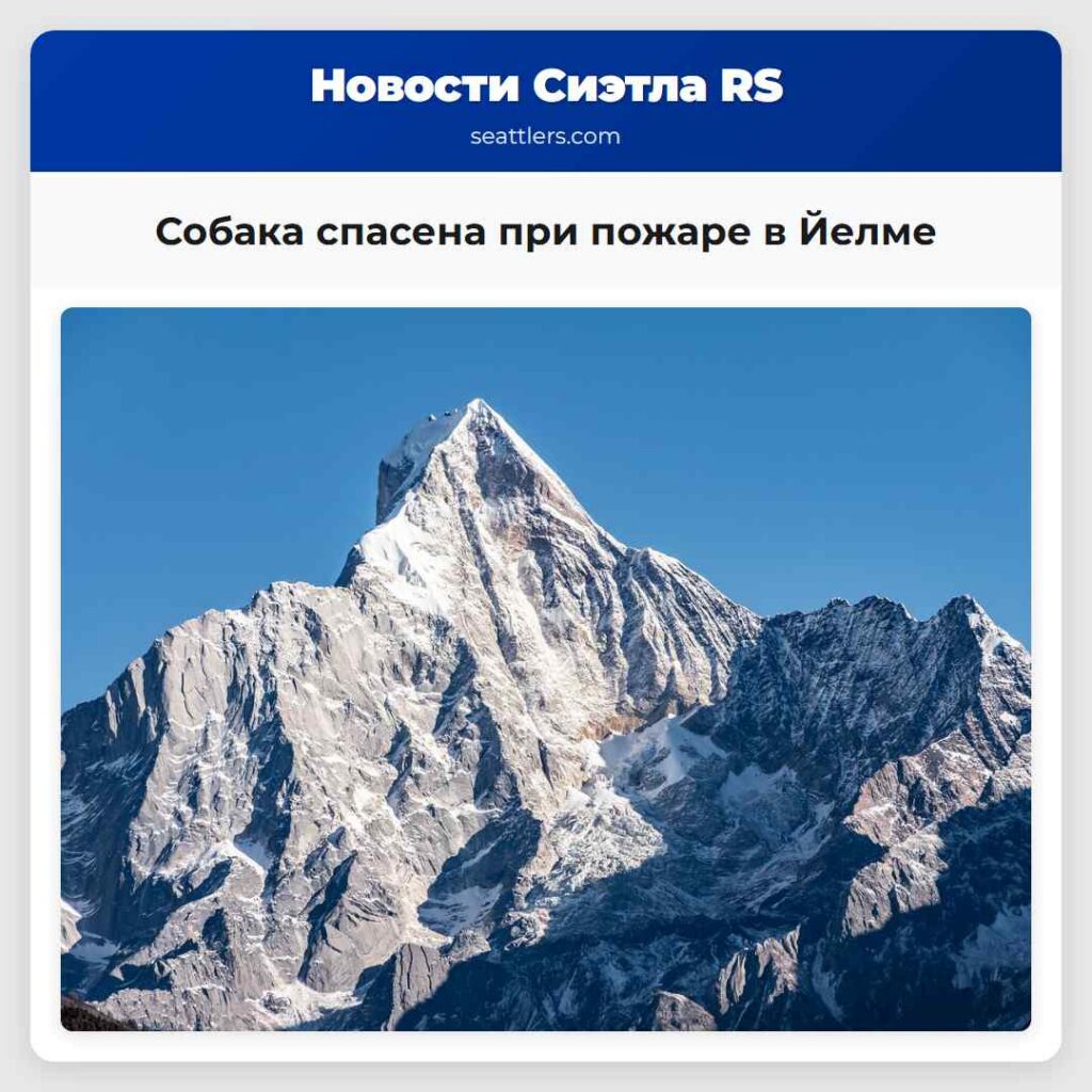Собака спасена при пожаре в Йелме