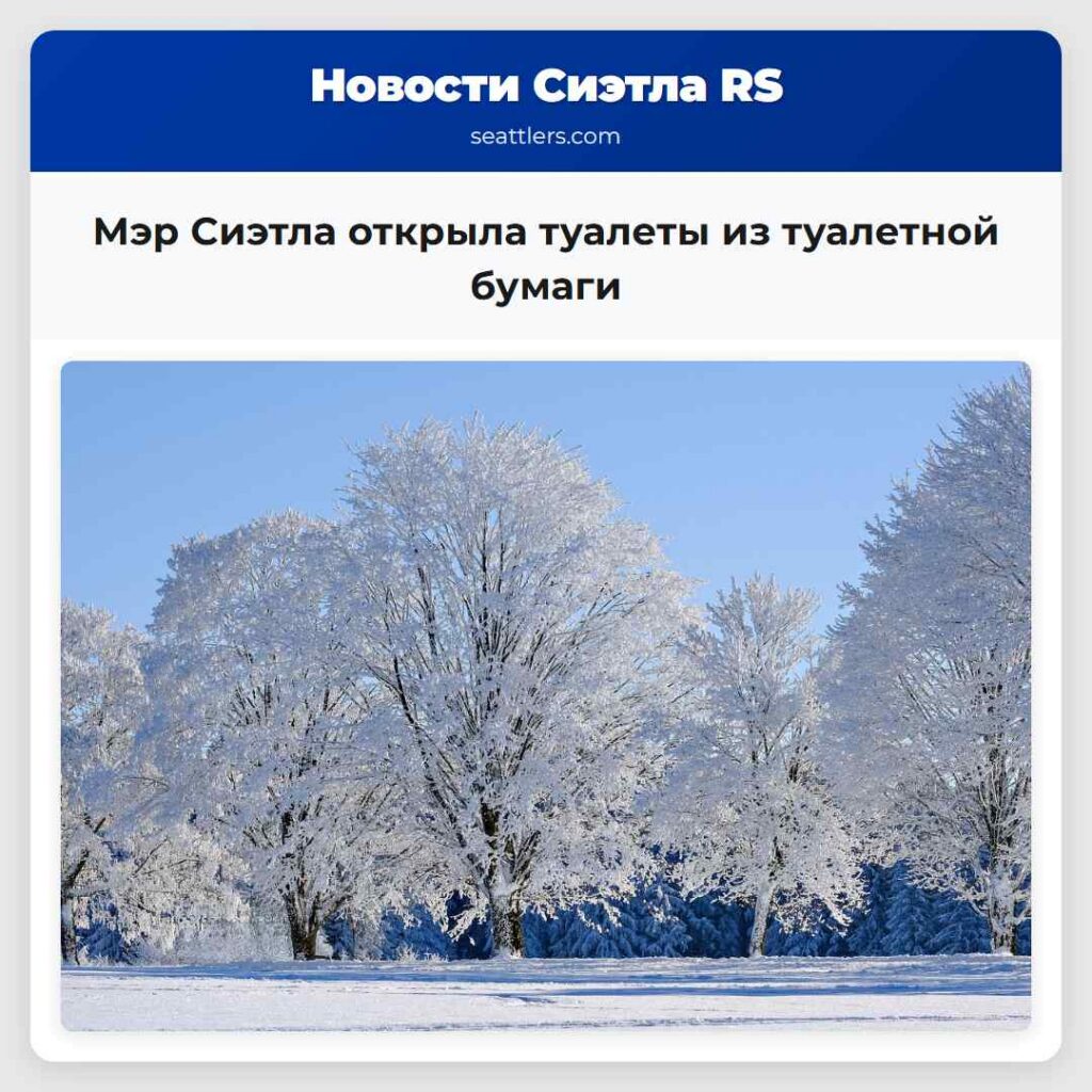 Мэр Сиэтла открыла туалеты из туалетной бумаги