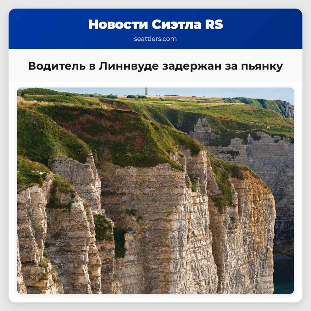 Водитель в Линнвуде задержан за пьянку