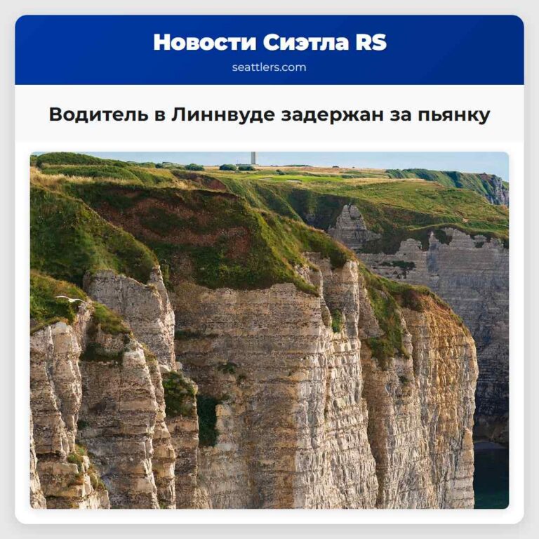 Водитель в Линнвуде задержан за пьянку