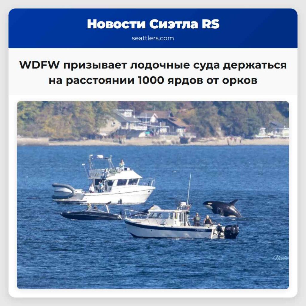WDFW призывает лодочные суда держаться на