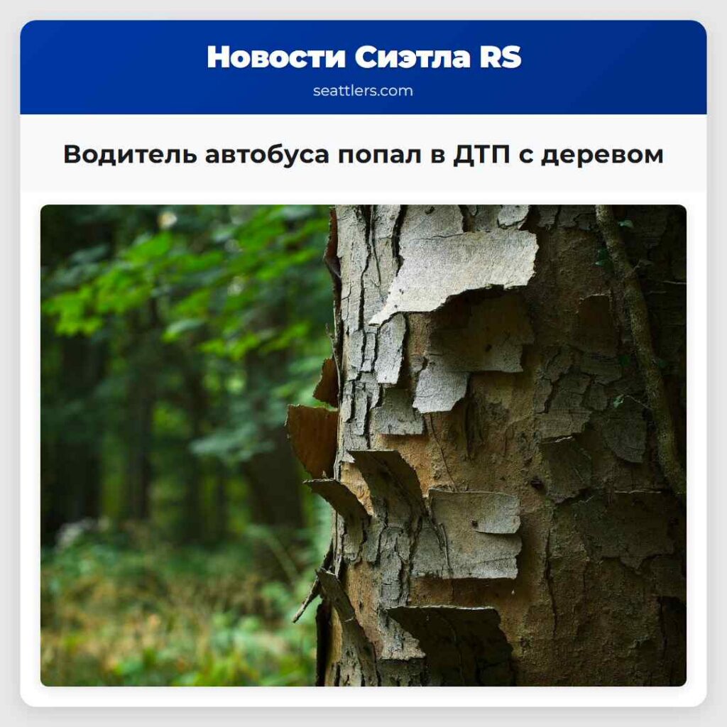 Водитель автобуса попал в ДТП с деревом