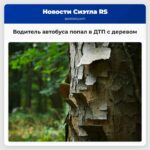 Водитель автобуса попал в ДТП с деревом