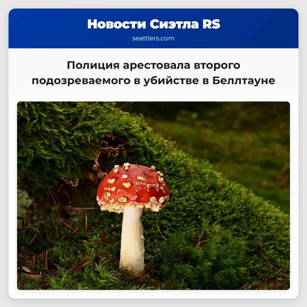 Полиция арестовала второго подозреваемого в