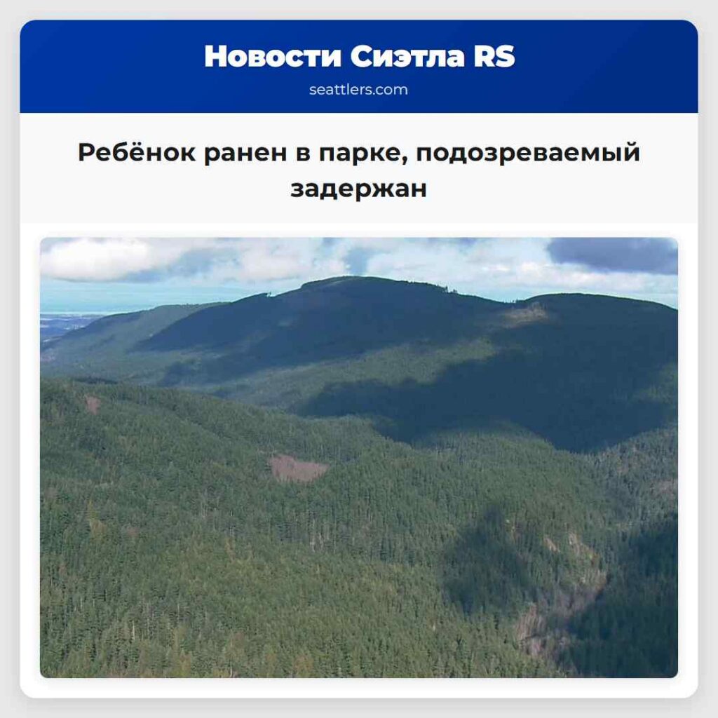 Ребёнок ранен в парке, подозреваемый задержан