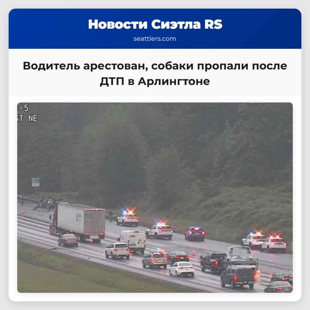 Водитель арестован, собаки пропали после ДТП в