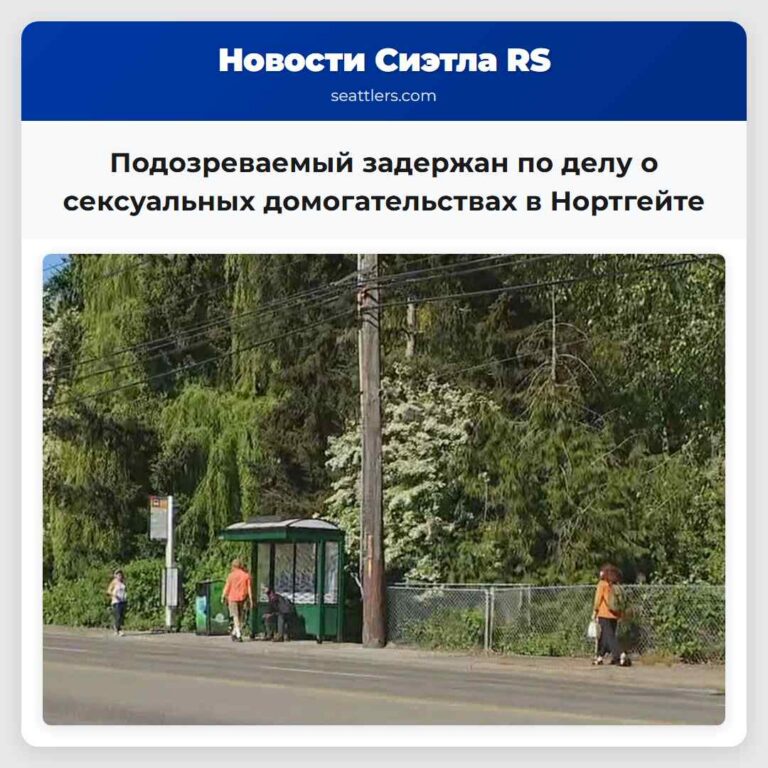 Подозреваемый задержан по делу о сексуальных домогательствах в Нортгейте