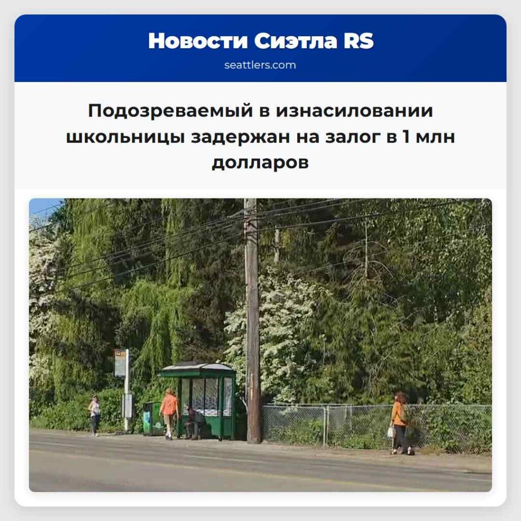Подозреваемый в изнасиловании школьницы задержан